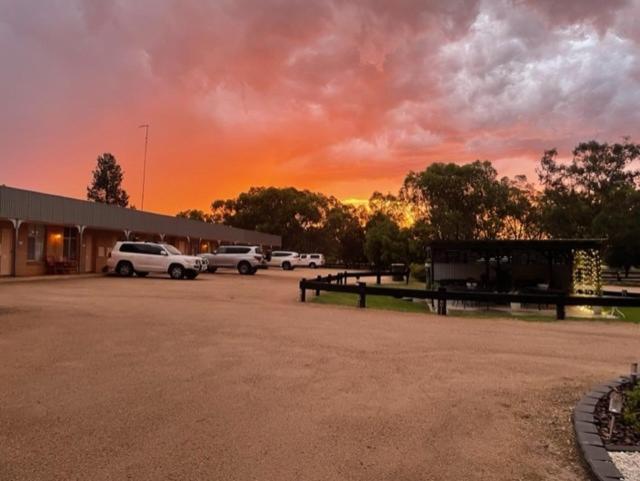 Sunflower Motel Warialda Dış mekan fotoğraf